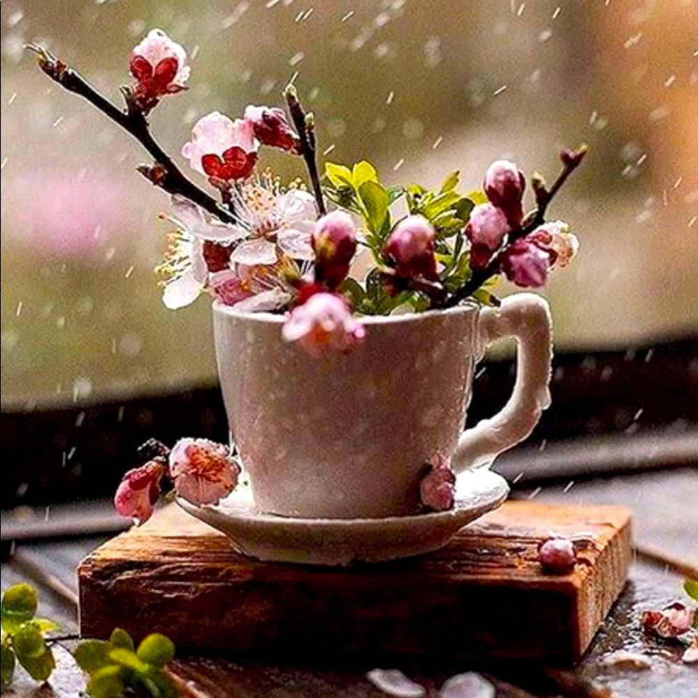 Meet your Posher, Deborah